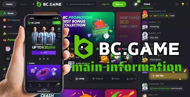 Understanding the BC.Game Mirror Login Process 877875802