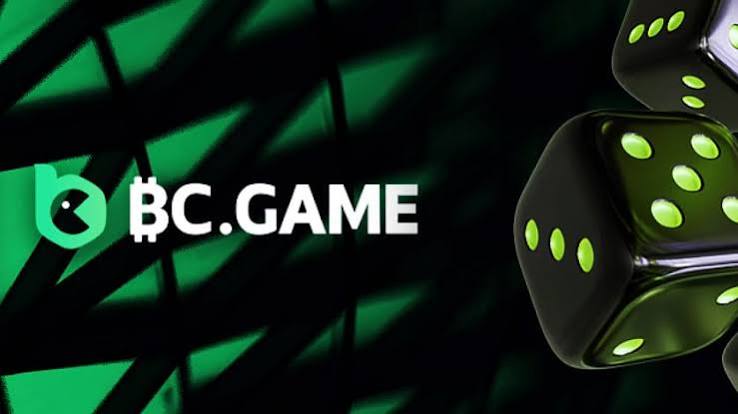 Discover the Thrills of BC.Game A Leading Crypto Casino Platform